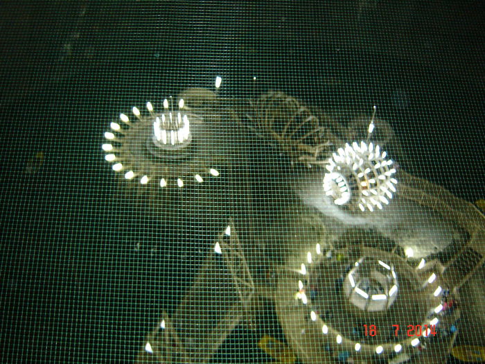 DSC00985