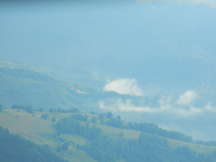 DSCN8529 - Parang_1_2014