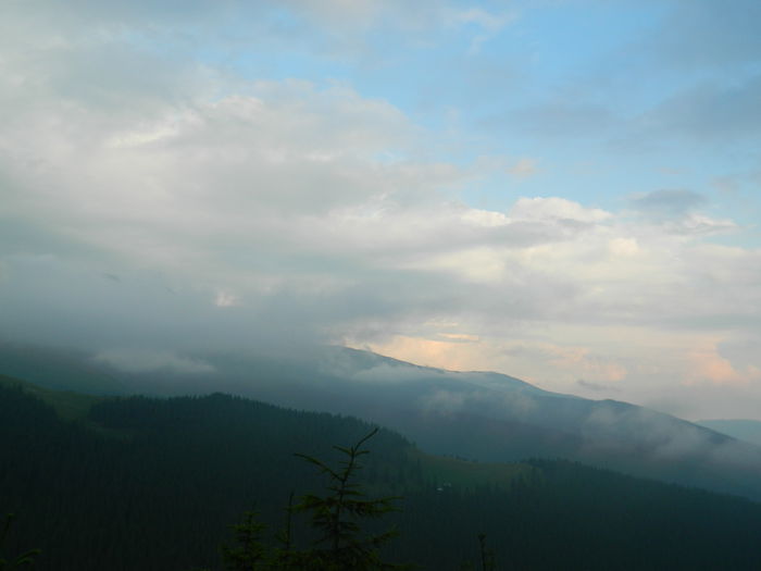 DSCN8540 - Parang_1_2014