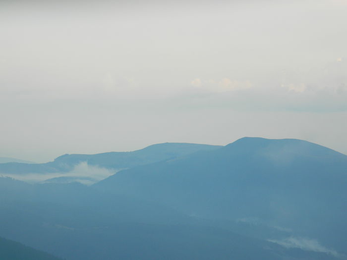 DSCN8542 - Parang_1_2014