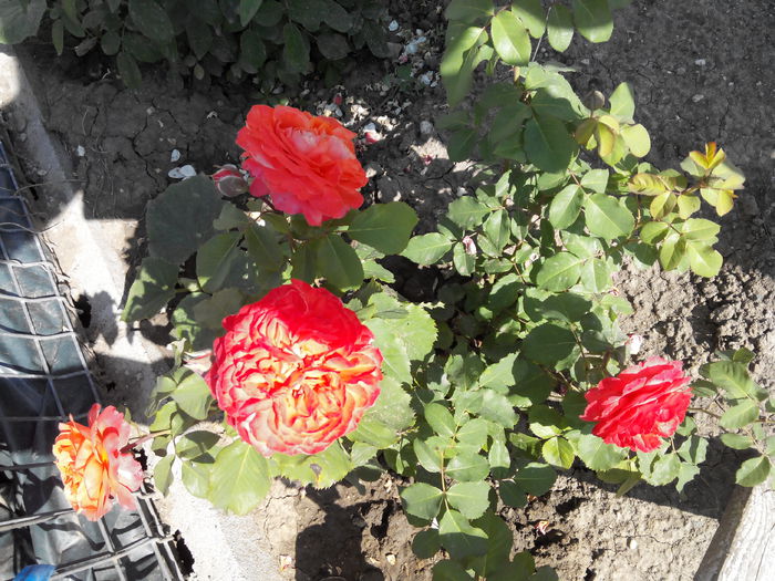 Festival des Jardins de Chaumont