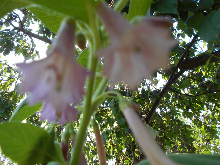 august 014 - August 2014