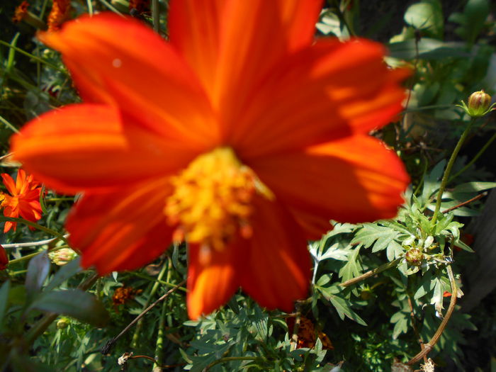 august 016 - August 2014