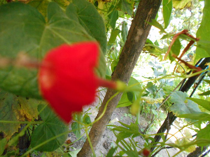 august 018 - August 2014