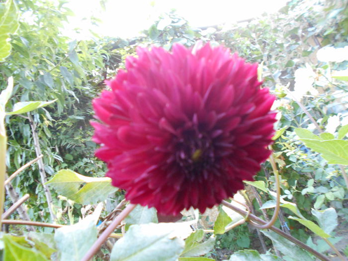 august 042 - August 2014