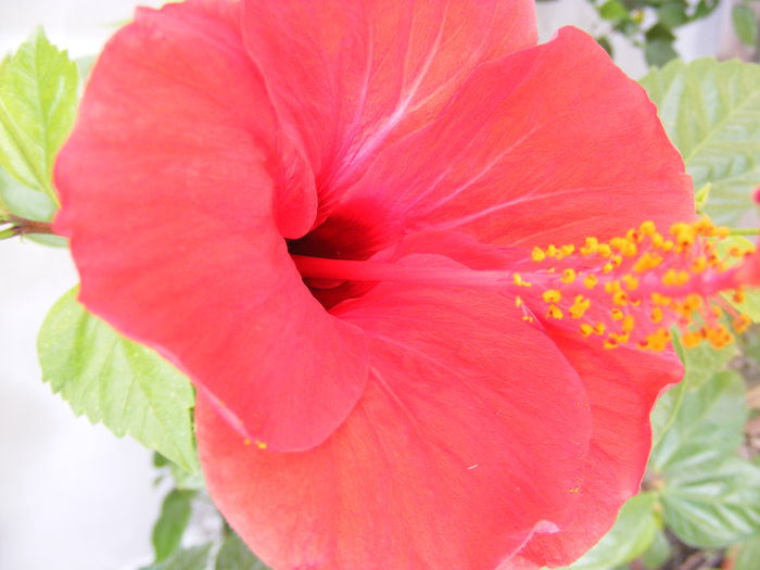 DSCF0136