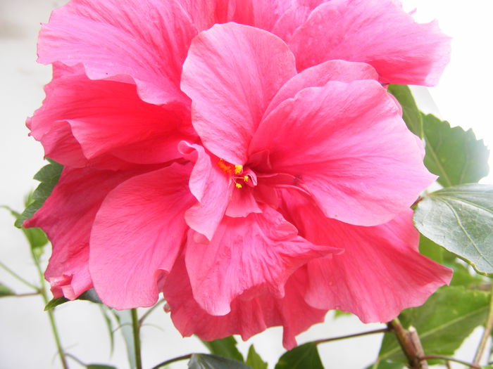 DSCF0134