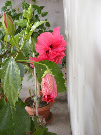 DSCF0135