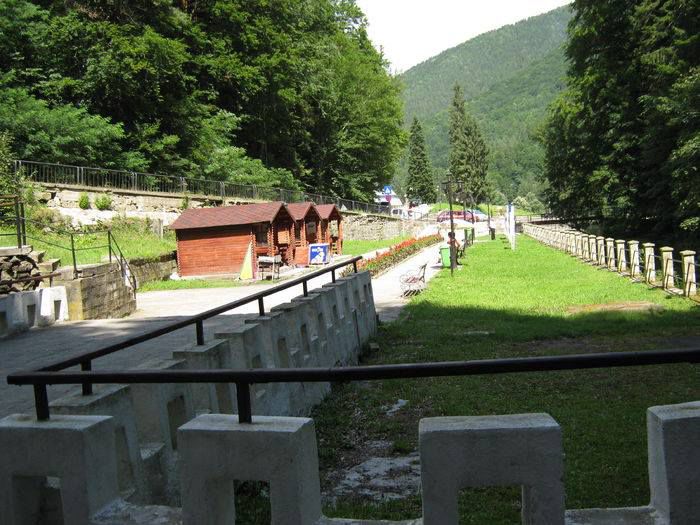 10561708_1446679345601408_1822469328728393591_n