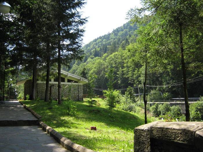 10530724_1446679385601404_490784923522096099_n