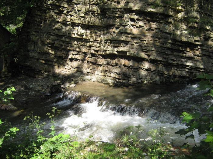 10534088_1446685012267508_4935630615199169148_n