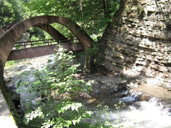 10544381_1446685018934174_4032992048434039813_n