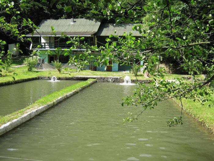 10525981_1446685072267502_7813105988961613362_n