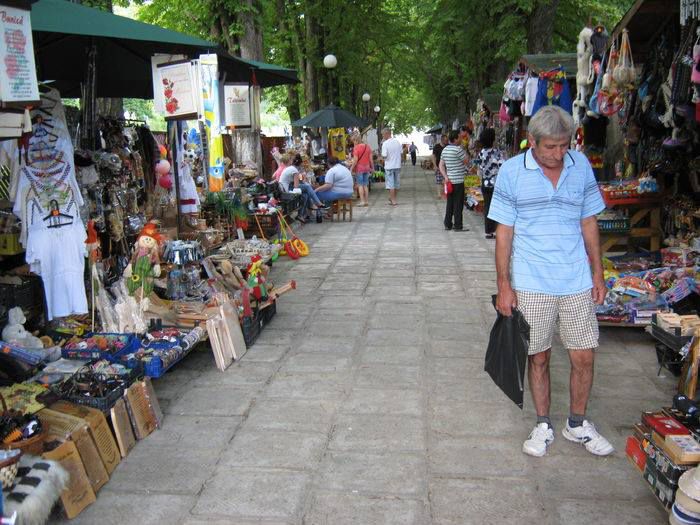 10568850_1446686882267321_7388212233867214392_n