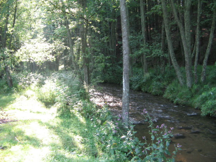 IMG_0090; Trei Ape, Semenic.
