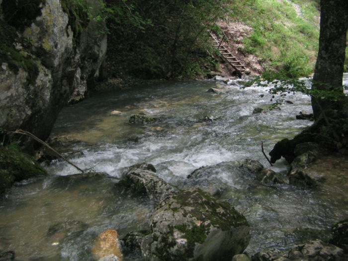 IMG_0223; Izbucul de unde se alimentează cu apă, cascada Bigăr.

