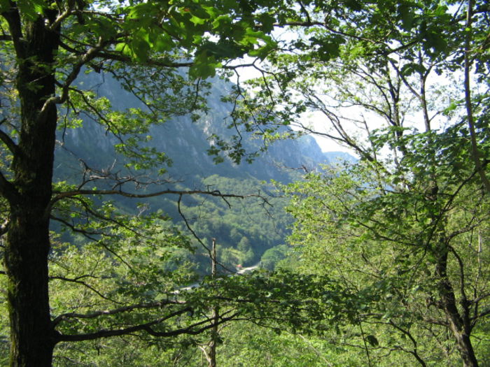 IMG_0207; Munţii Mehedinţi şi Valea Cernei văzută din munţii Cernei.
