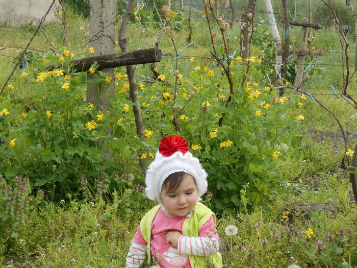 DSCN0163