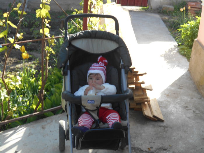 DSCN0316