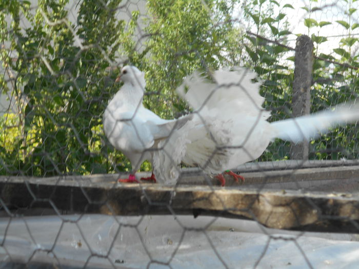 DSCN0518
