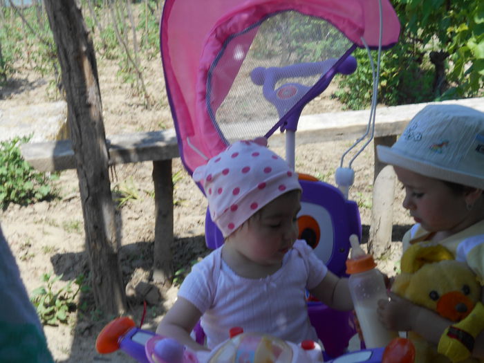 DSCN0552