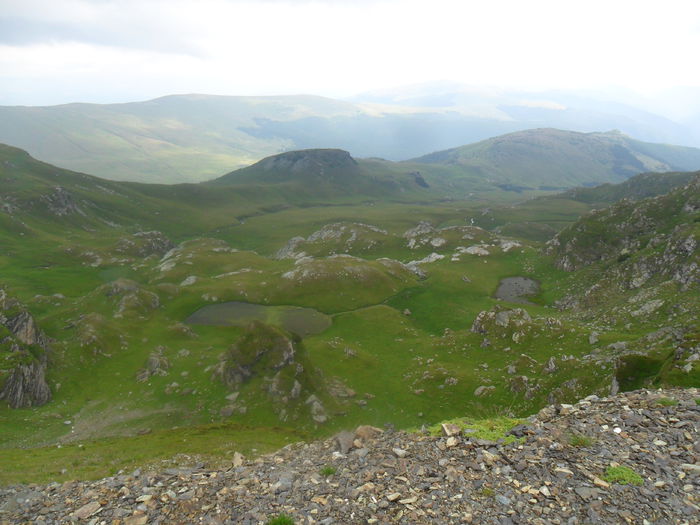 Transalpina