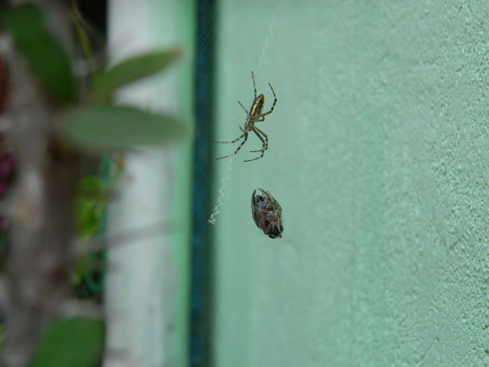 DSCN8350 - AUGUST_2014