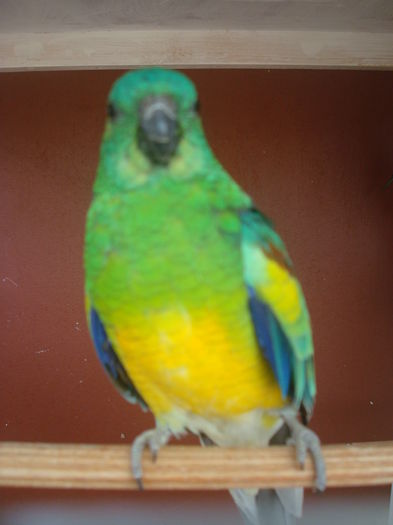 DSC00682