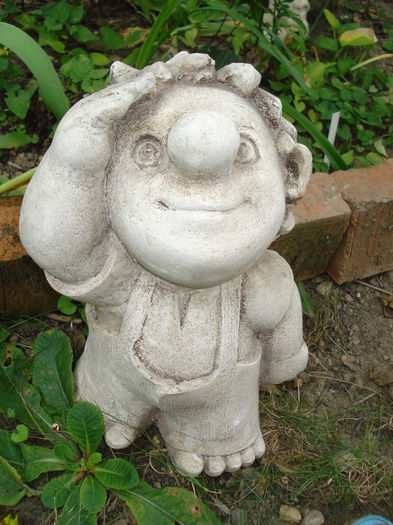 DSC02974 - Gradina in 2014