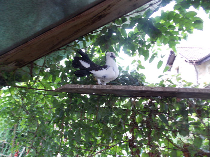 DSCN1217