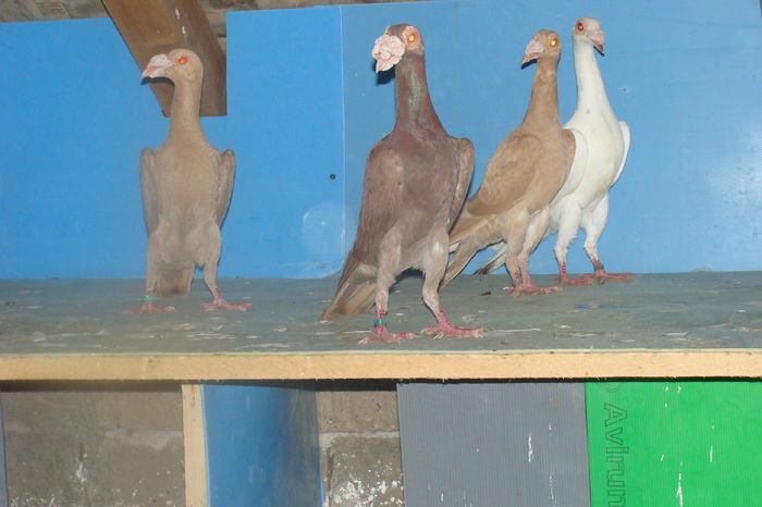 DSC02465