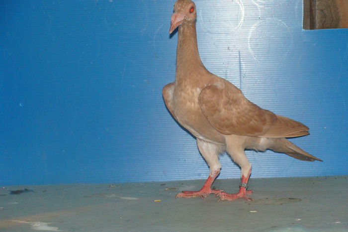 DSC02469