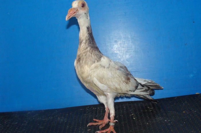 DSC02475