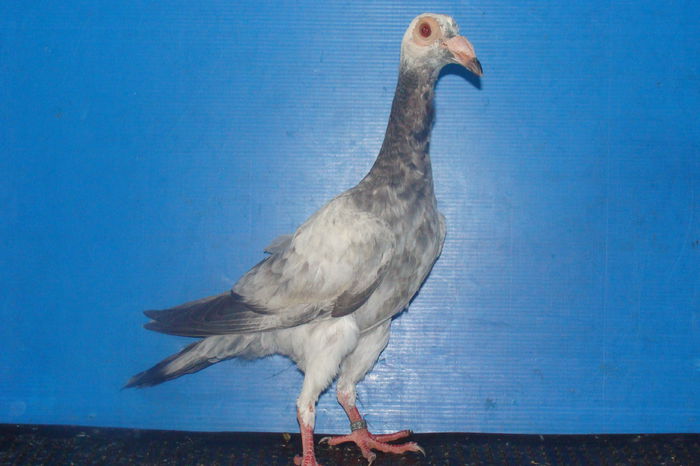 DSC02480