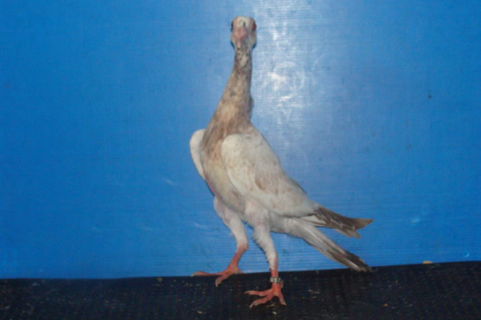 DSC02483