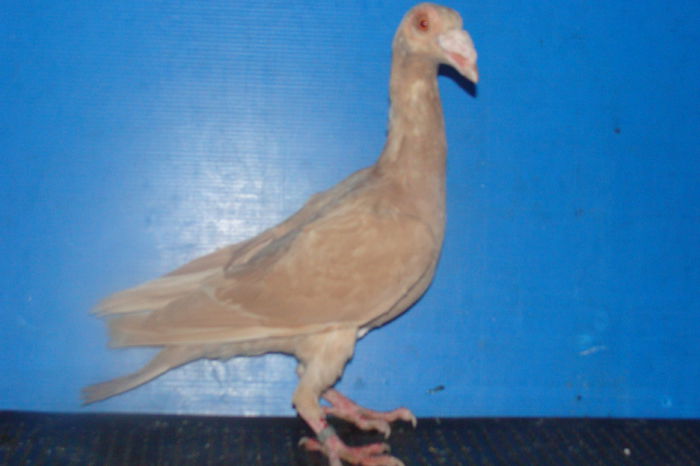DSC02499