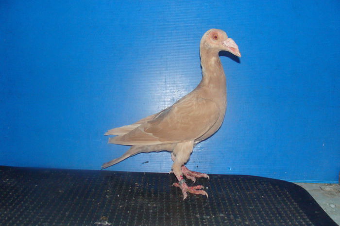 DSC02503