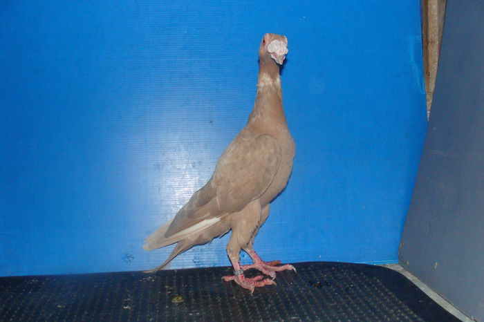 DSC02509