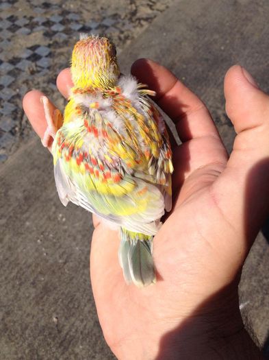 10576363_616963151751963_1047804859_n