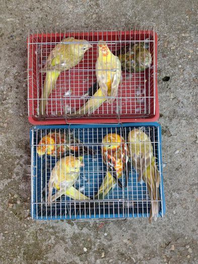 10578395_616961601752118_913921901_n