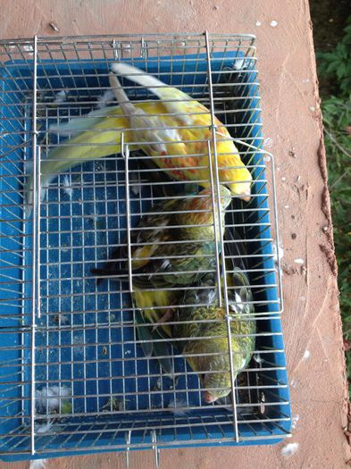 10588687_616961525085459_1724156938_n