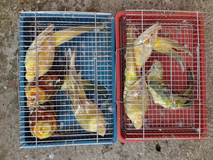 10588763_616961771752101_920923325_n