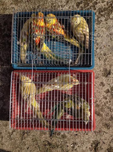 10595789_616961841752094_295560326_n