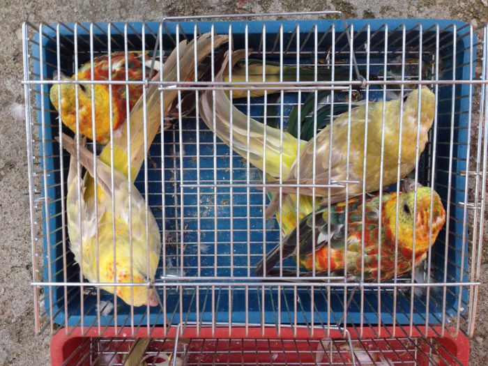 10601155_616961711752107_1231614413_n