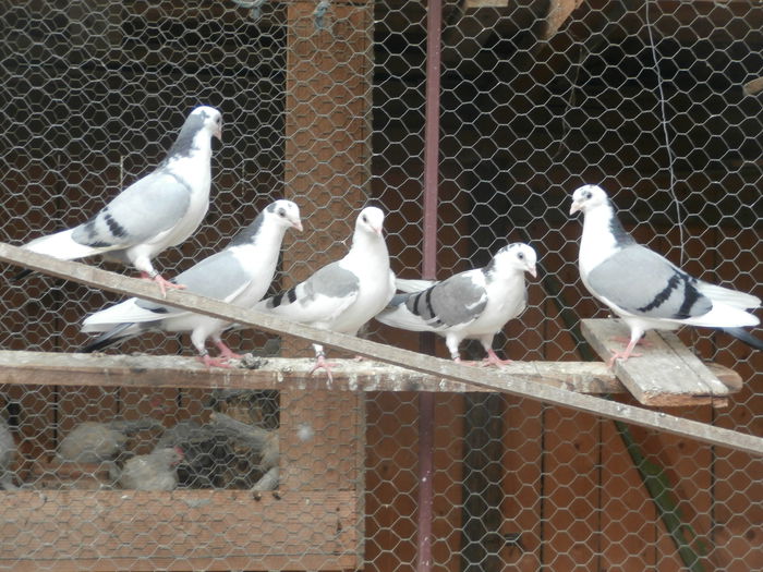 P8070021