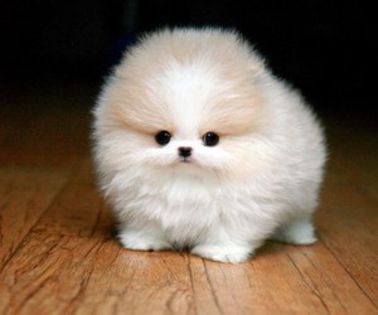 Mormantul X era mormantul unui mort despre care nu se stia  nimic.