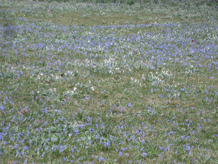 IMG_7567 - bucuresti  11