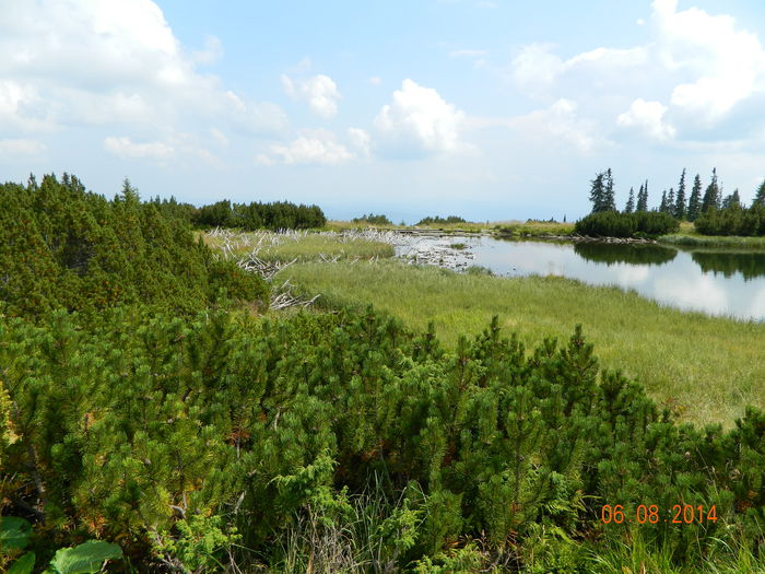 Picture 068 - Lacul Iezer-Muntii Calimani-august 2014