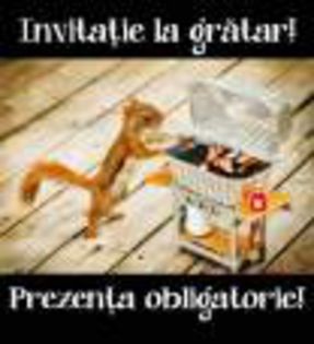 veverita_invitatie_la_gratar_prezenta_obligatorie - imagini cu mesaje amuzante hahhaha