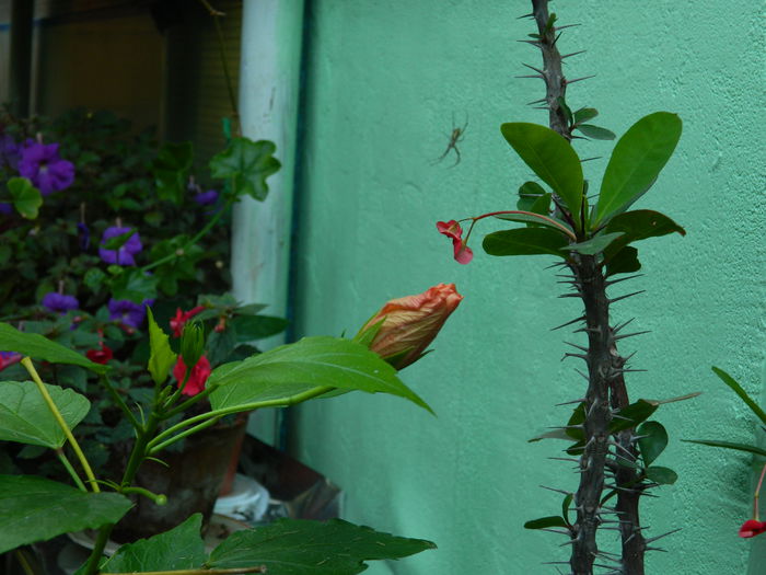 DSCN0315 - AUGUST_2014